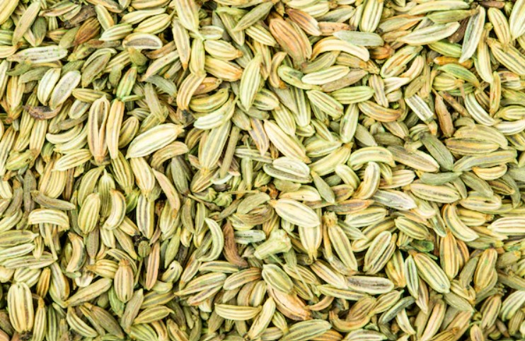Fennel Seeds
